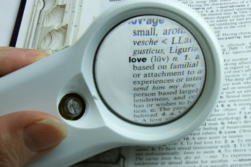 Finding The Right Stuff: The Ivy League of Dating