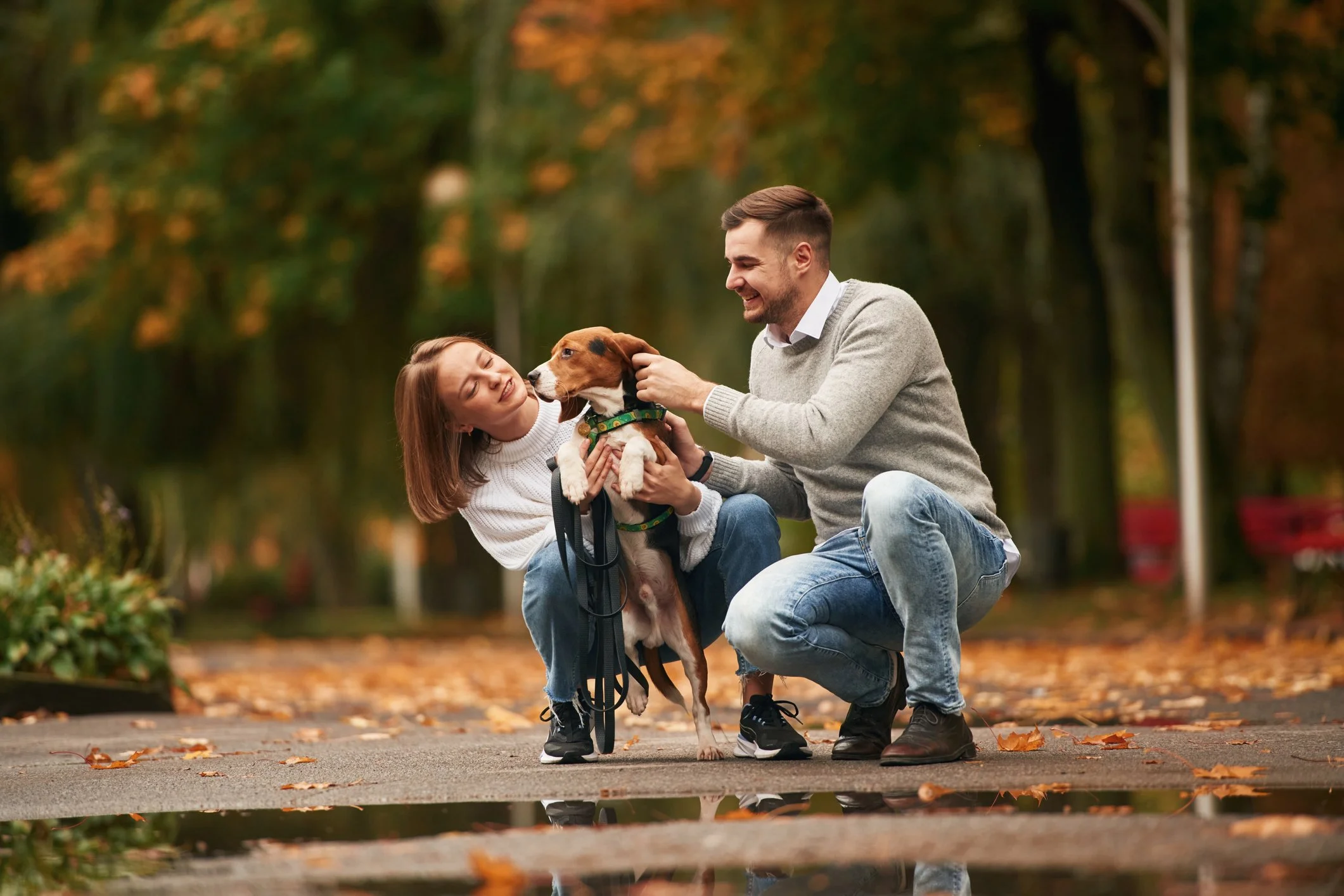 Dating Dr. Dolittle: What to Expect When Dating an Animal Lover 