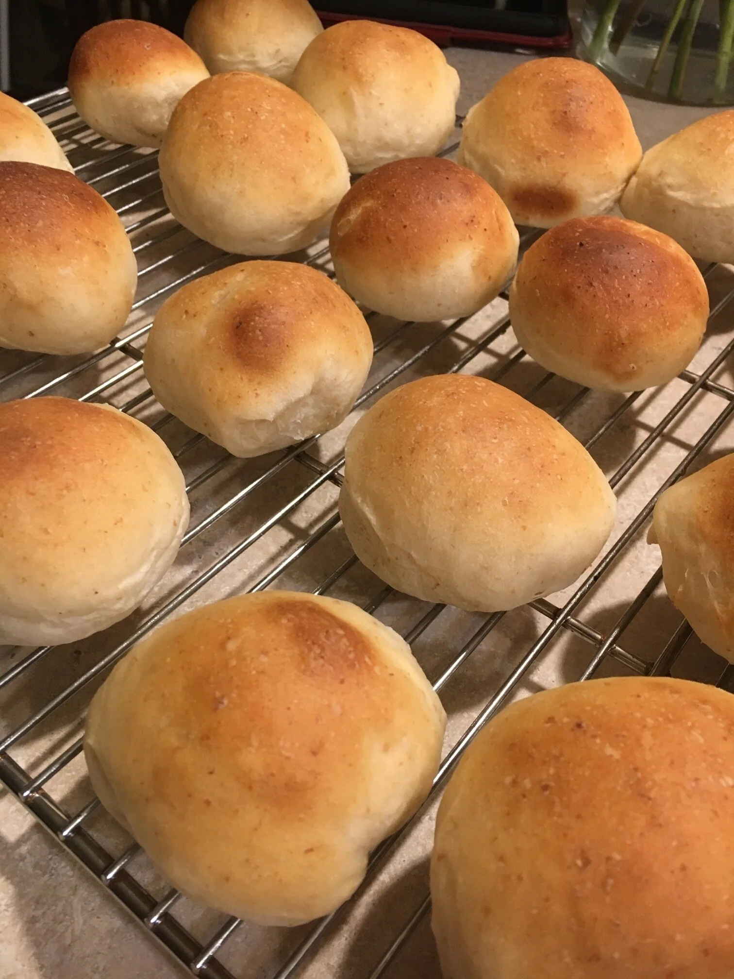 Thanksgiving Series: Mom's Dinner Rolls