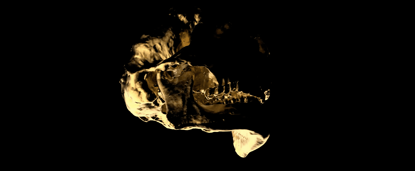 I like underlit, golden skulls.