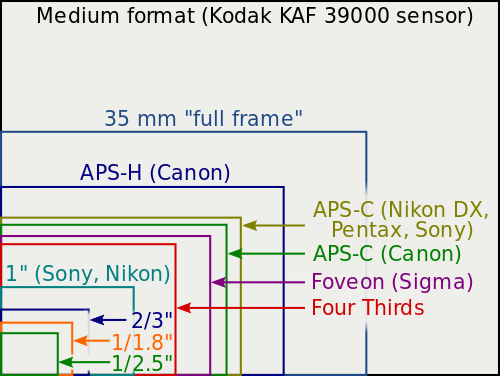 Here’s the original link to the wikipedia article on sensor size: https://upload.wikimedia.org/wikipedia/commons/f/f0/Sensor_sizes_overlaid_inside.svg