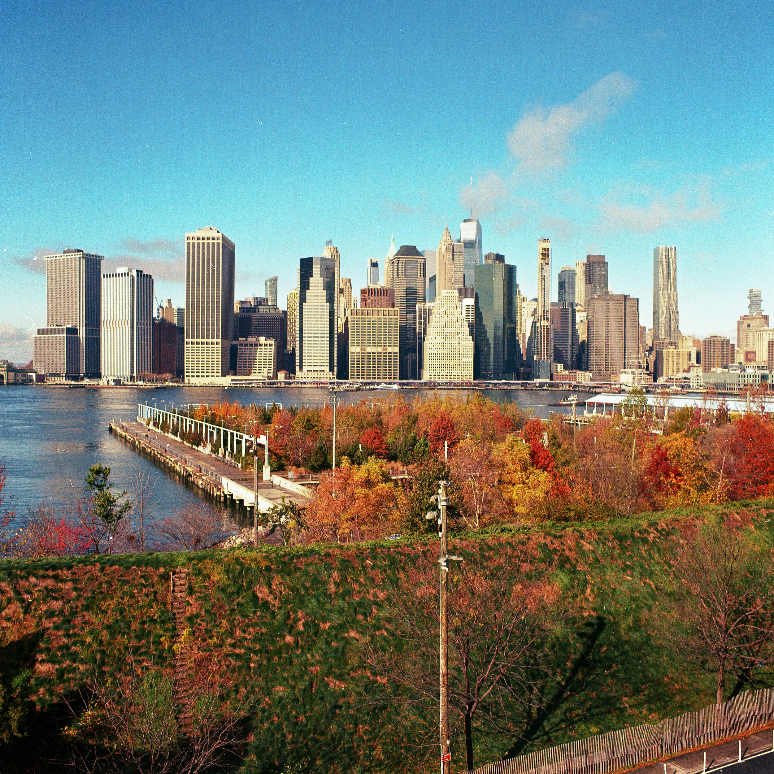 Autumn in New York | 2023