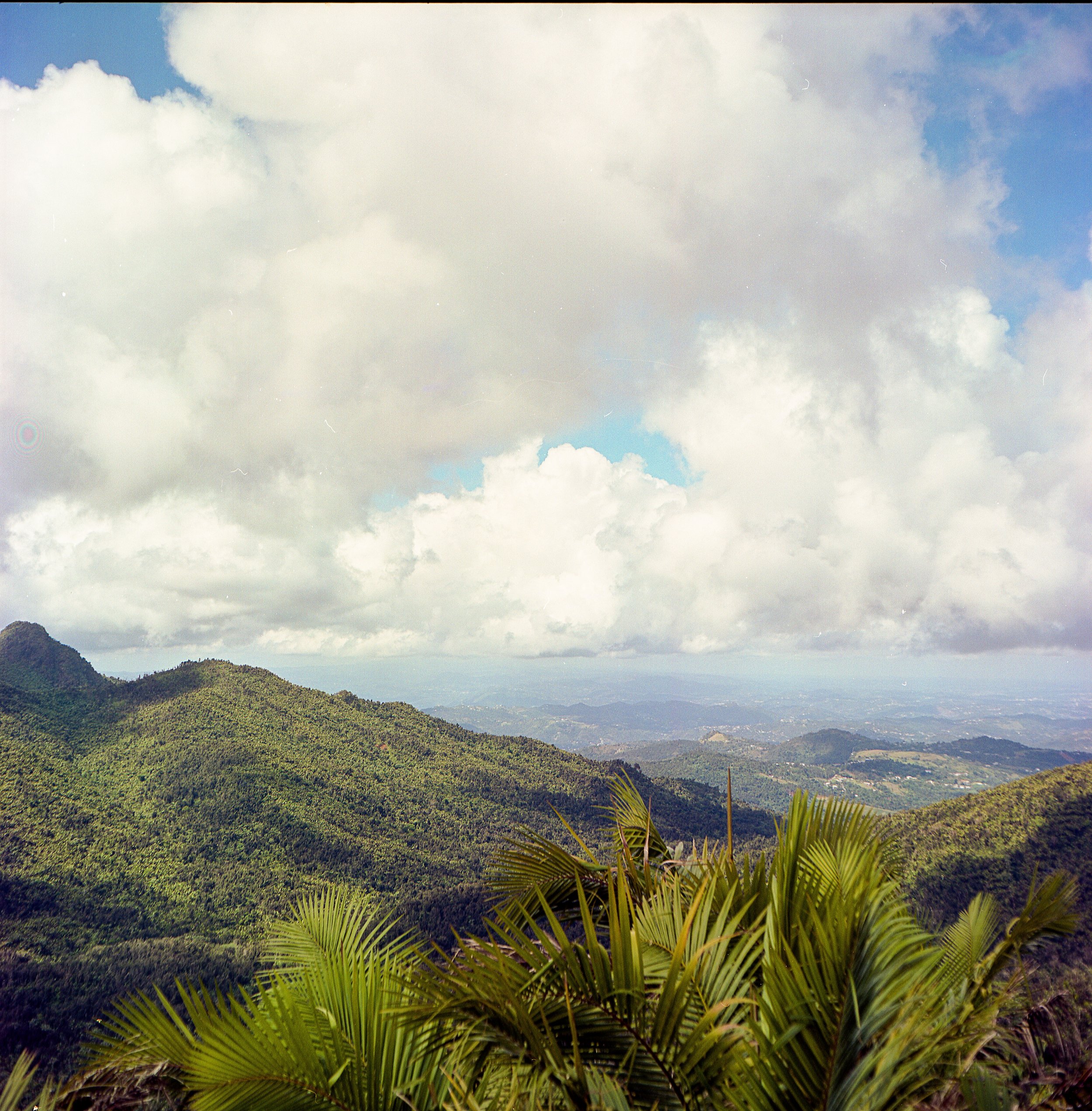 El Yunque National Rainforest, Puerto Rico | 2022