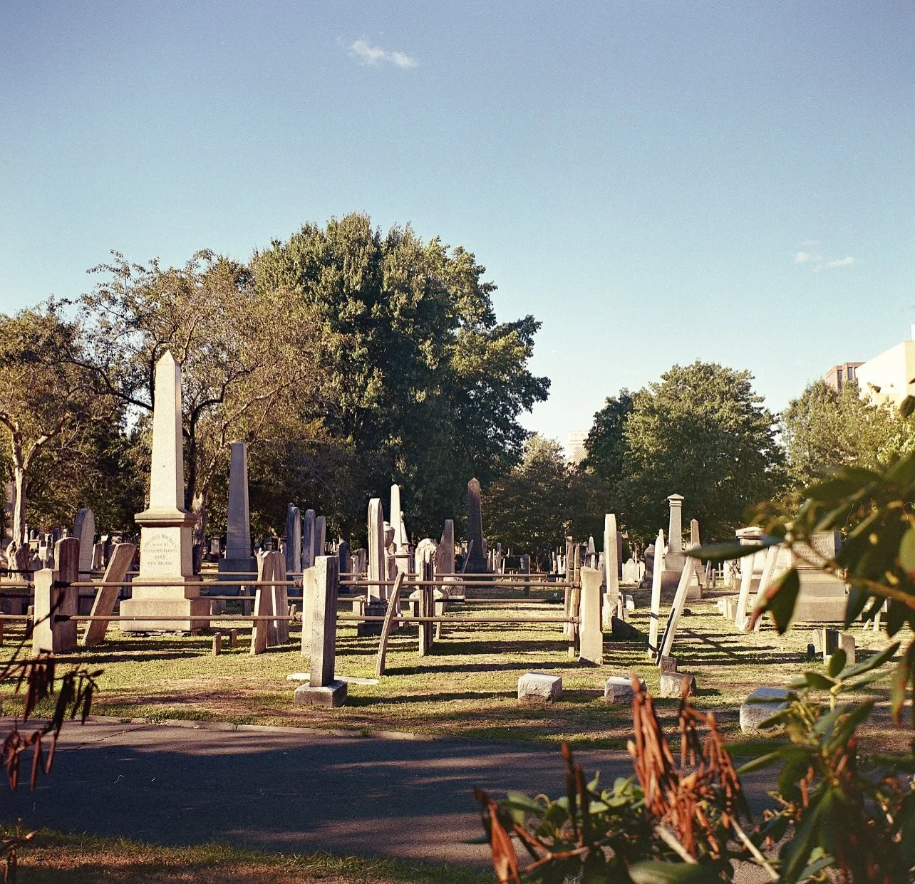 There is something about cemeteries that I find peaceful and relaxing. I made it too late for visiting hours so I found an opening in the fence to capture this view.

📷 Zeiss Ikon Nettar 515/16
🎞 Kodak Gold 200