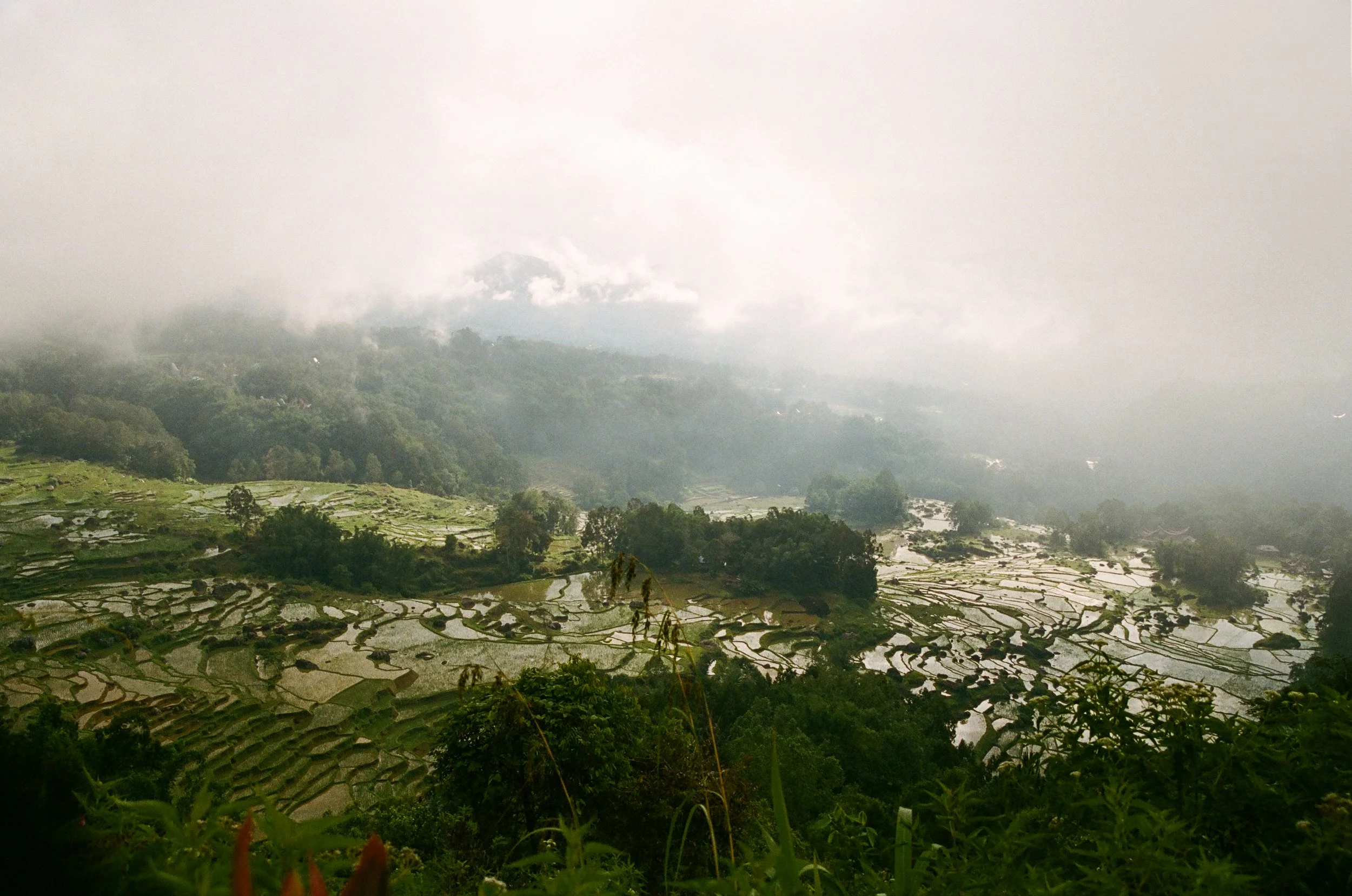 KENG PEREIRA_BAKED_TORAJA_STANDART-7.jpg