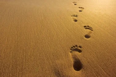 footprint.jpg
