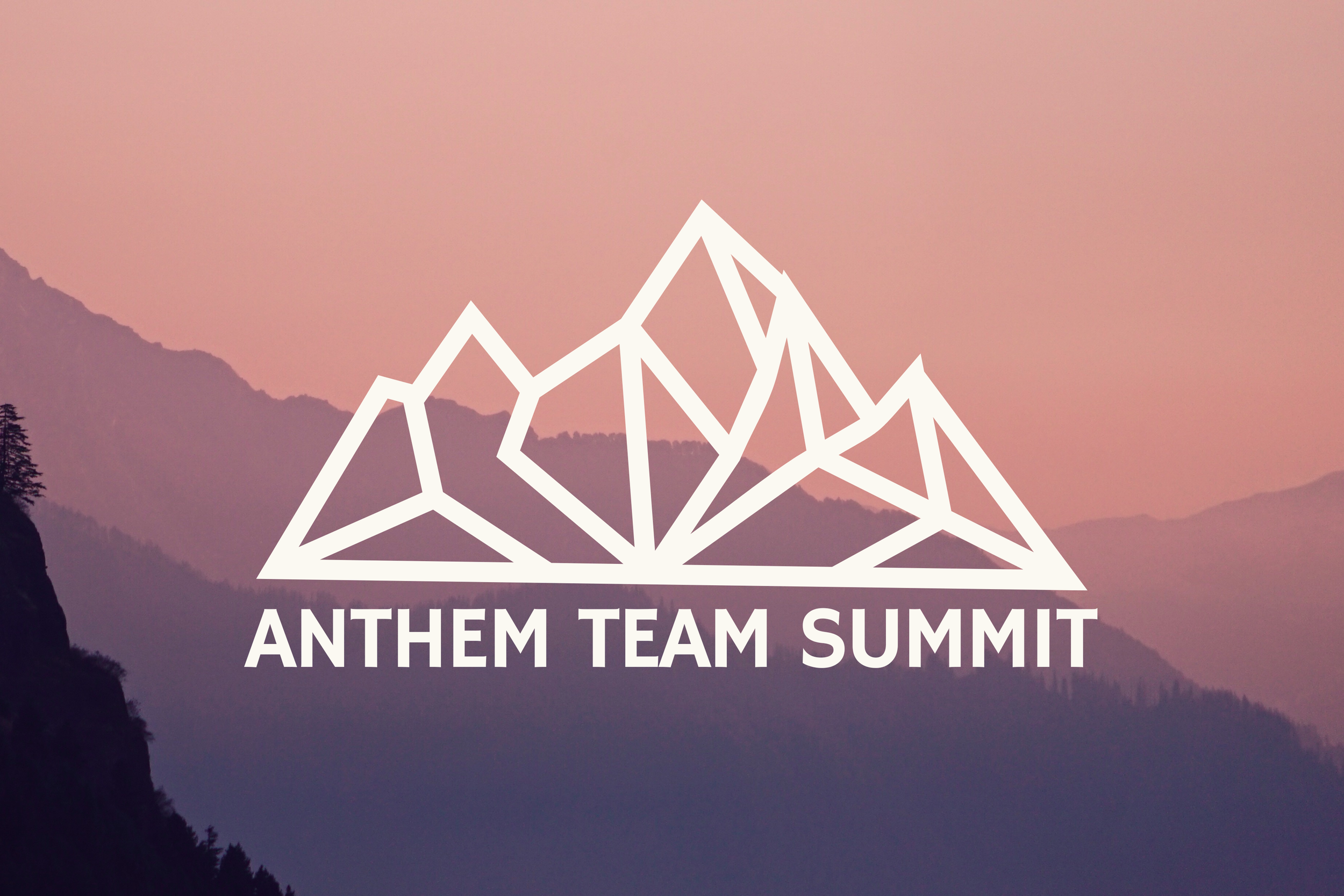 Anthem Team Summit