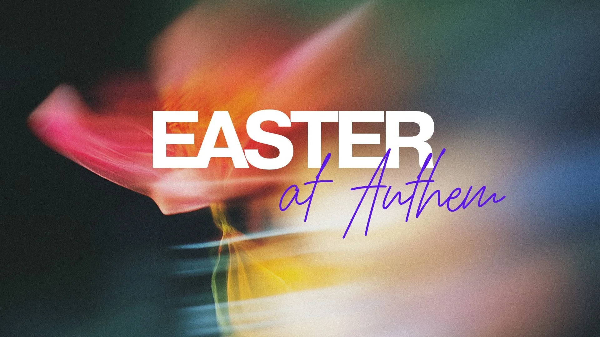 Easter Branding 2026-2.jpg