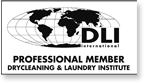 logo-DLI.png