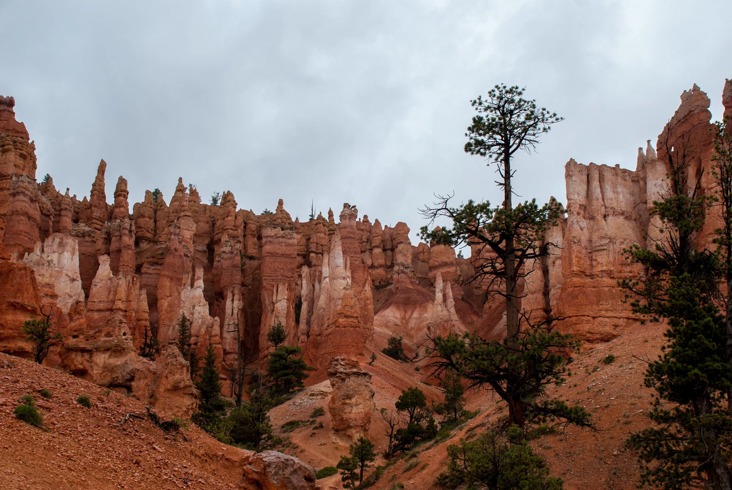 Bryce_Canyon_21.jpg