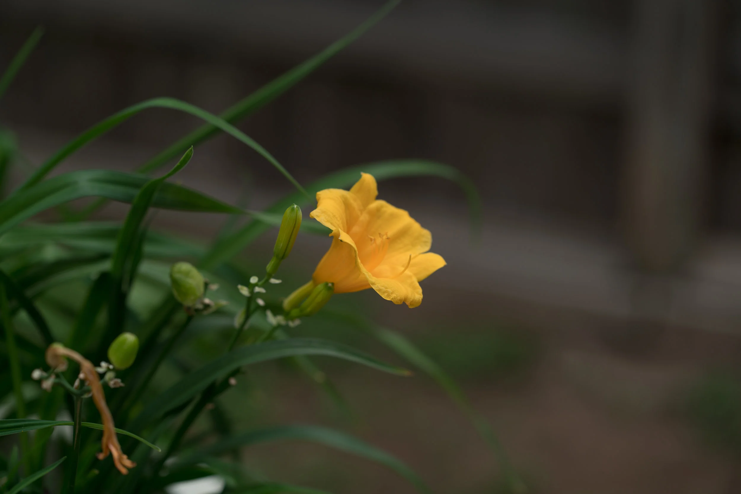 DSC03824.jpg