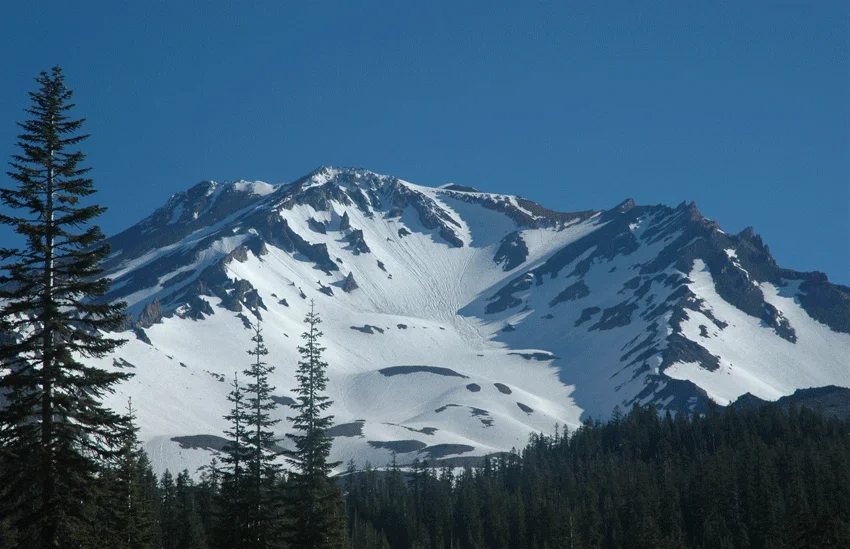 Shasta.jpg