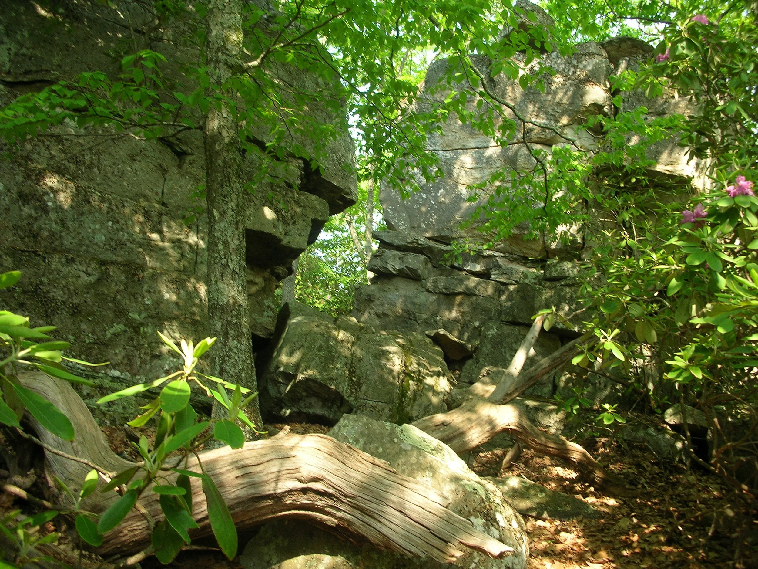 AT_2007_129.jpg