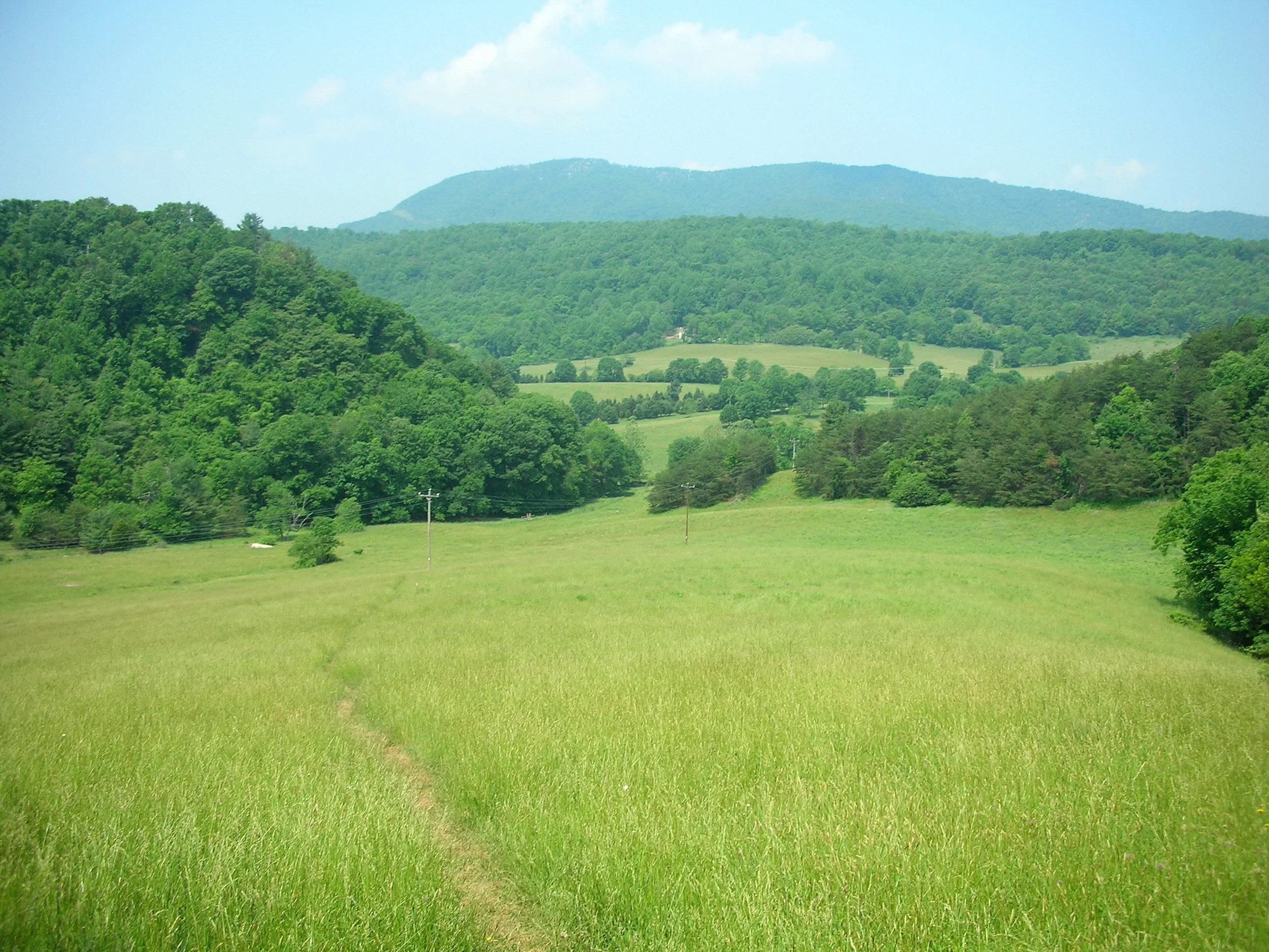 AT_2007_149.jpg
