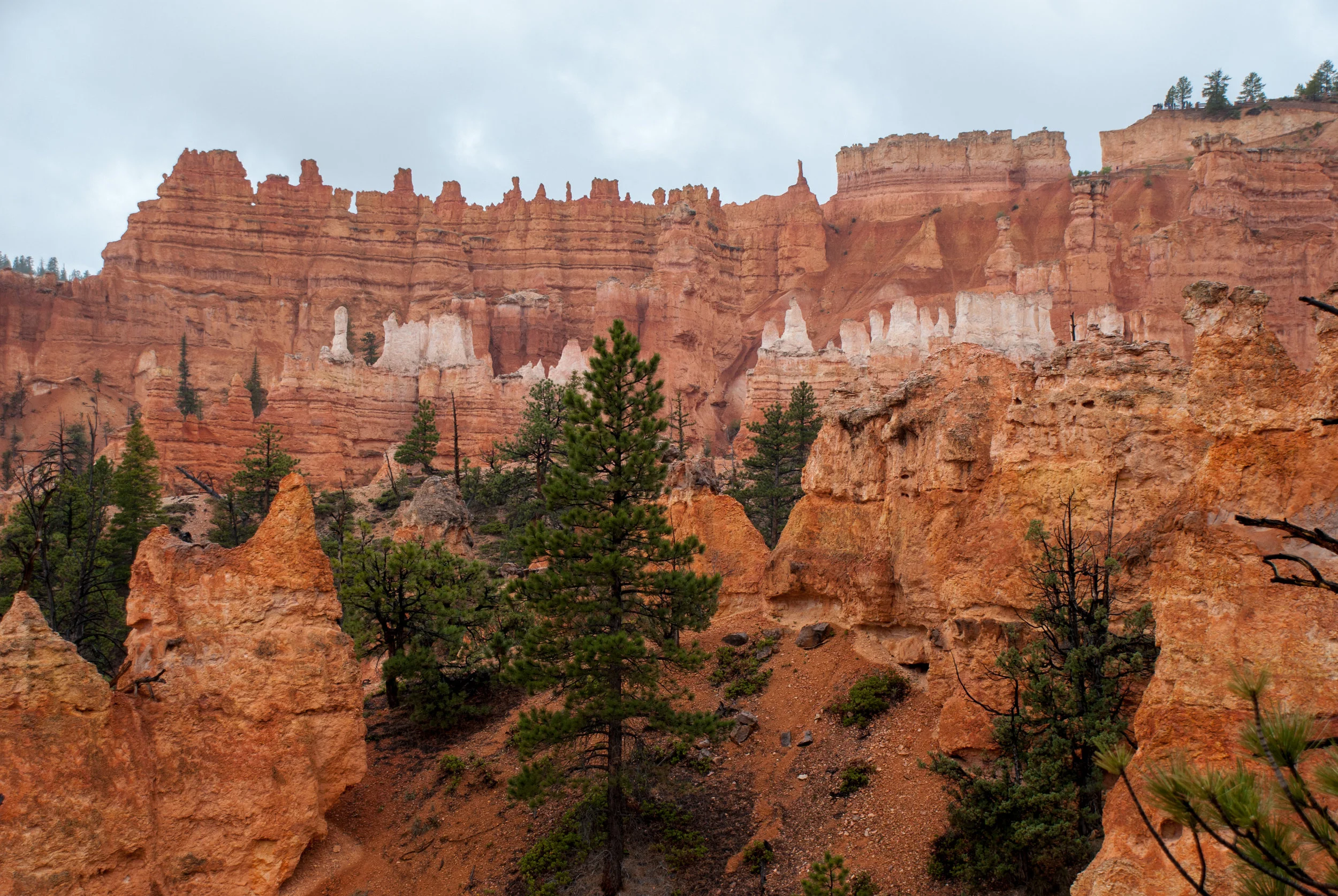 Bryce_Canyon_25.jpg