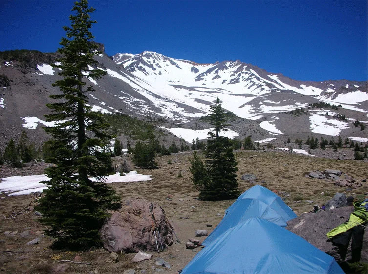 Shasta04.jpg