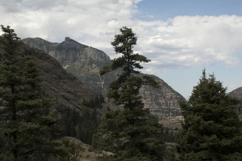 Ouray05.jpg
