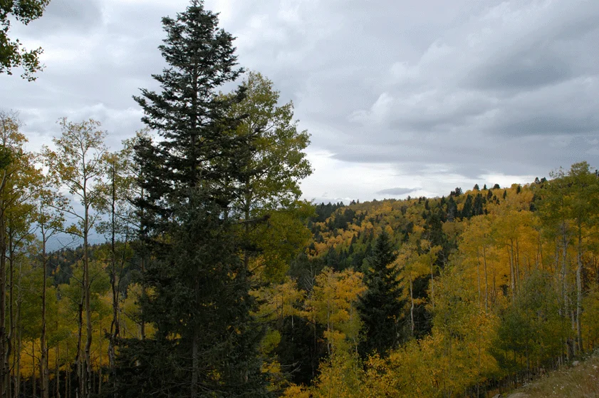 Fall02.jpg