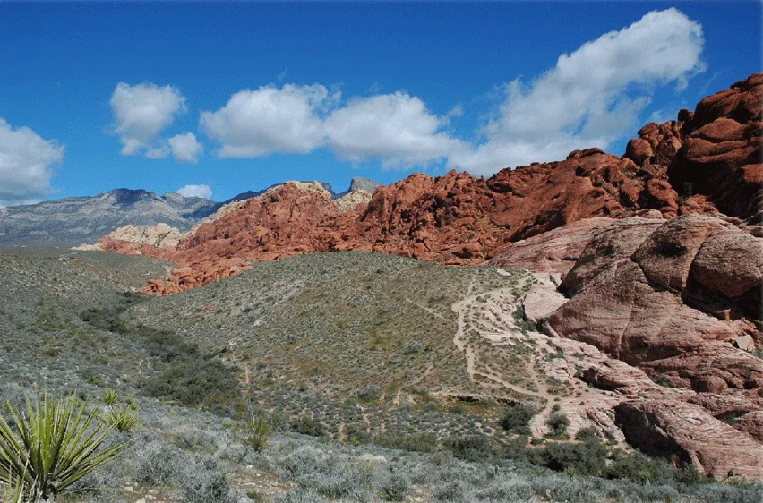 Redrocks09.jpg