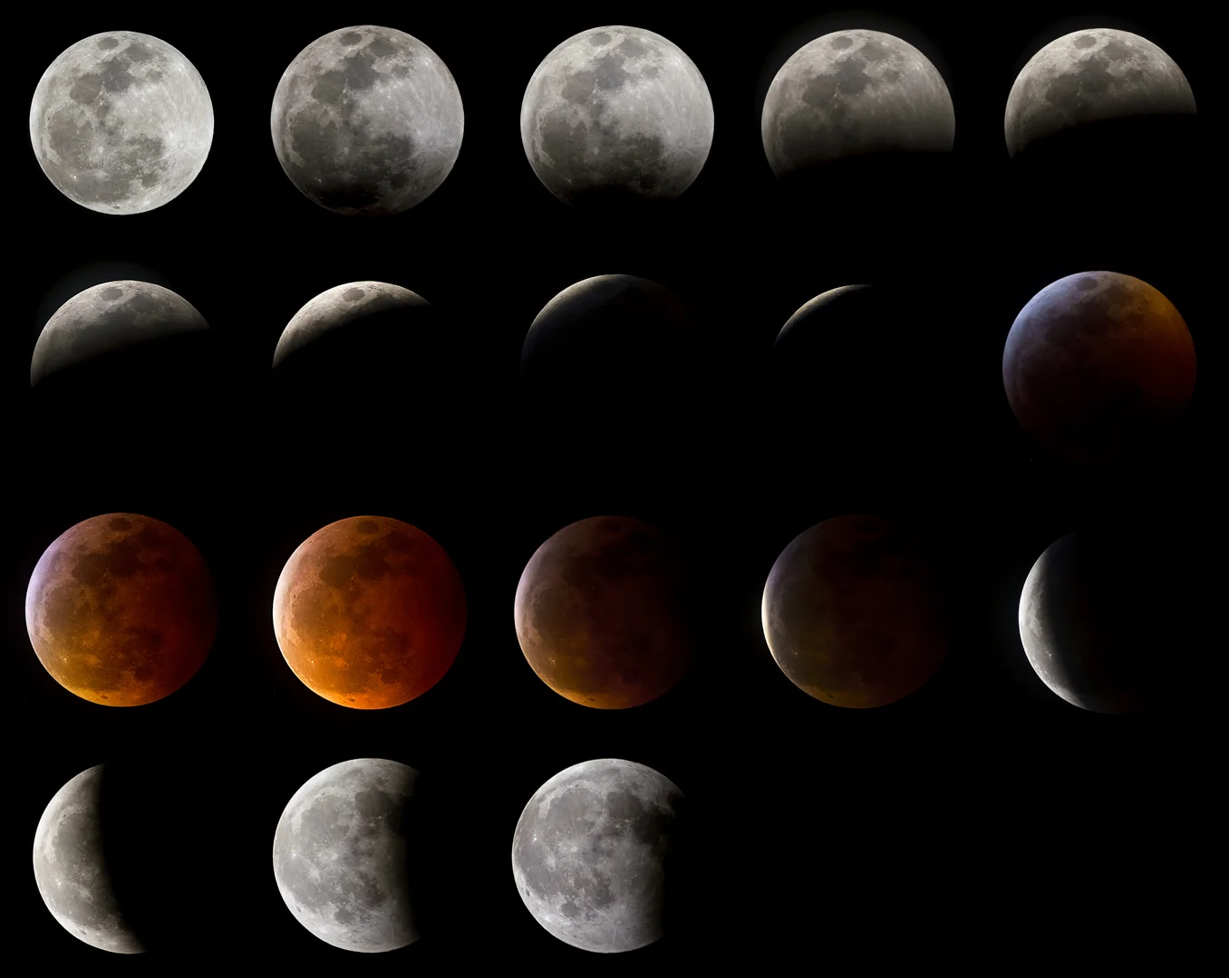 IG Cropped Full Sequence.jpg