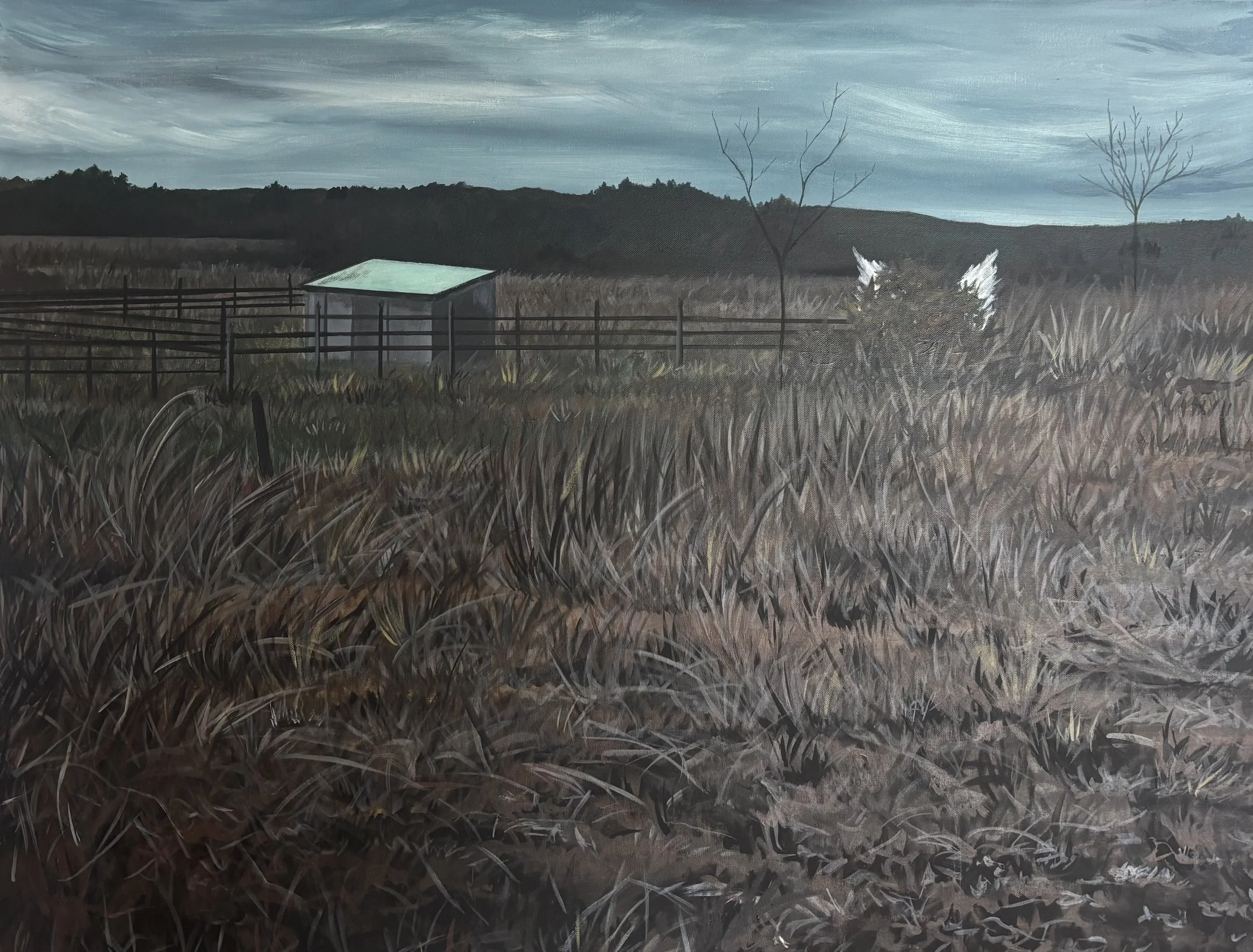 MIRACLE IN THE FIELD