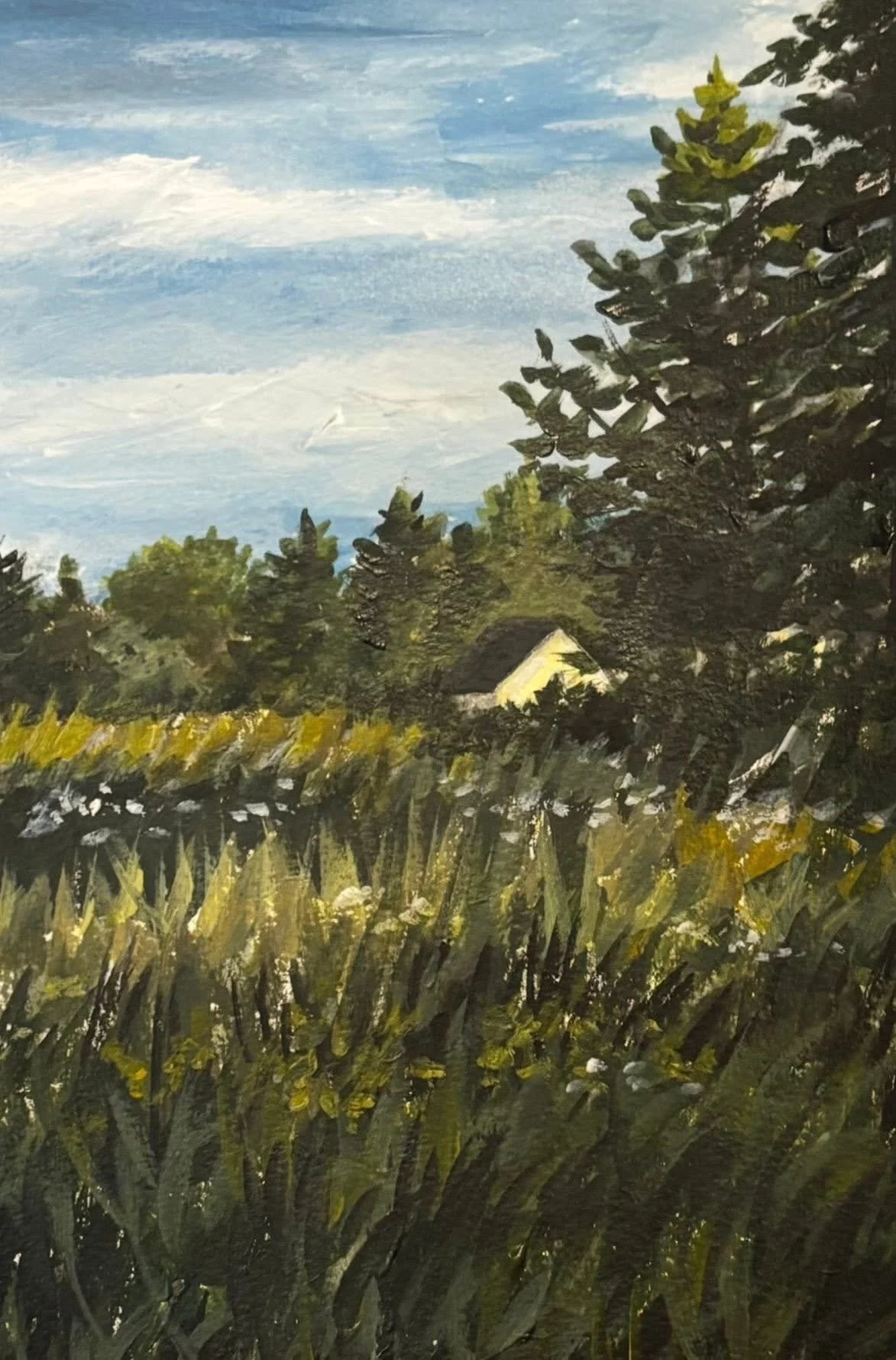 SUNDAY ON A BACKROAD IN MAINE