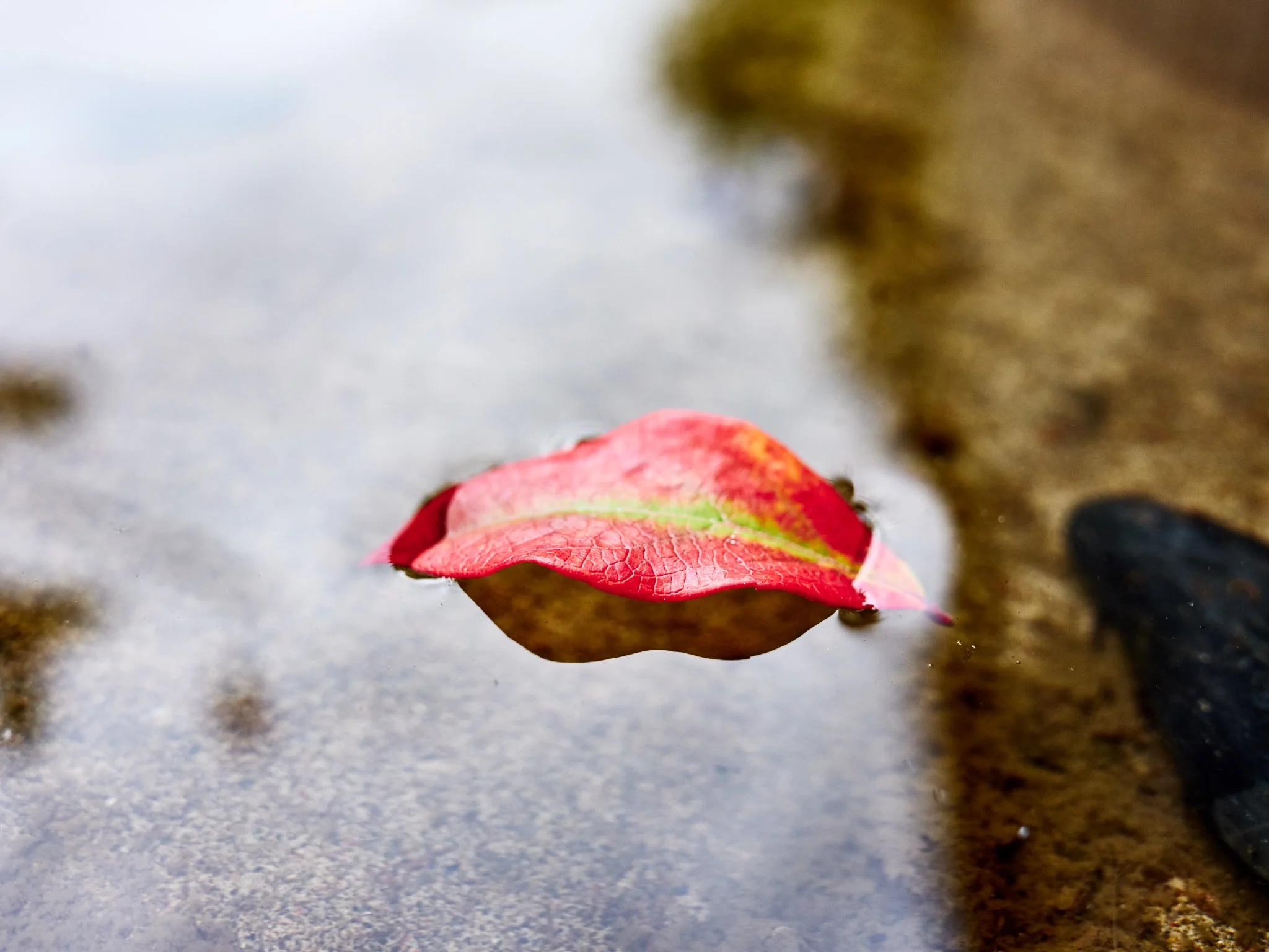 BET-Fall2018-©-Evan-Kaufman-007.jpg