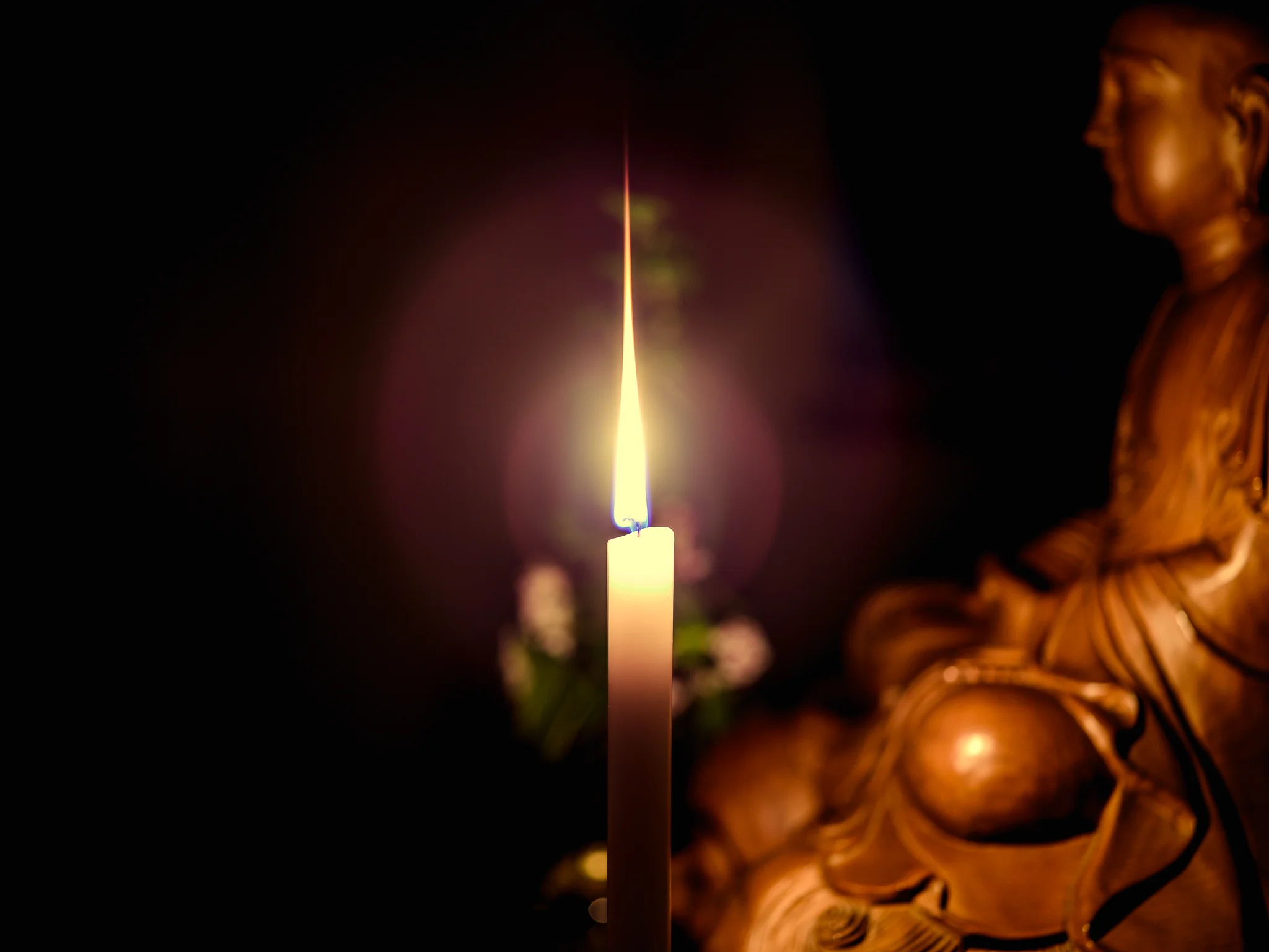 Zazen FEB 18-Copyright-Evan-Kaufman-009.jpg