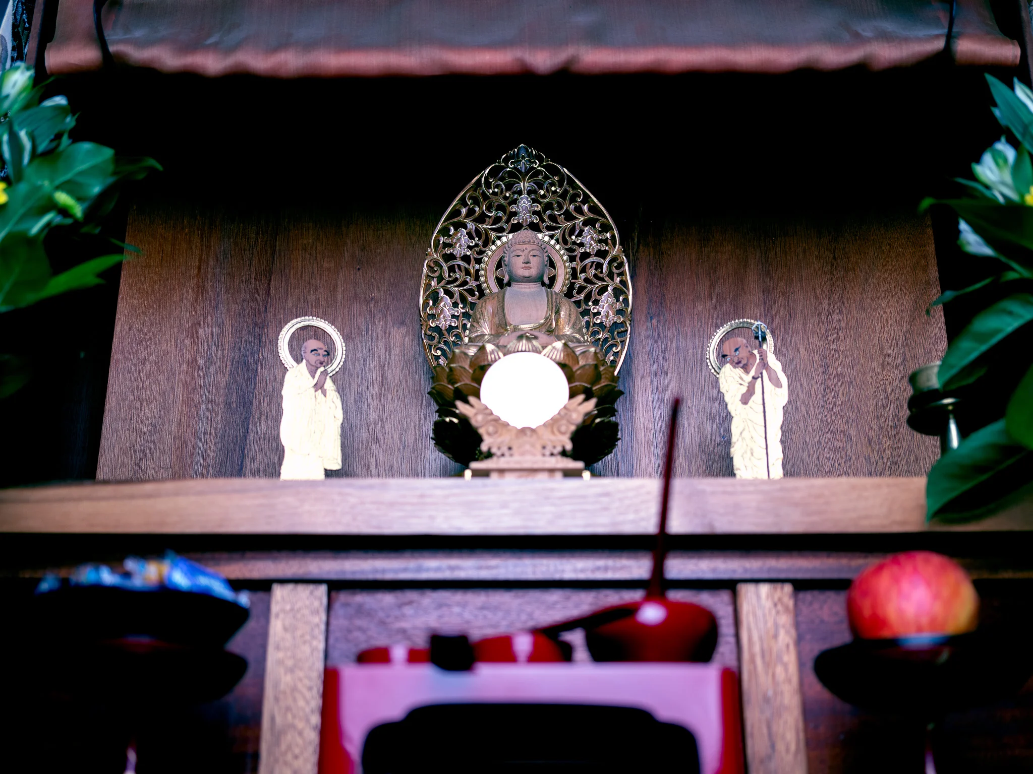 Zazen FEB 18-Copyright-Evan-Kaufman-013.jpg