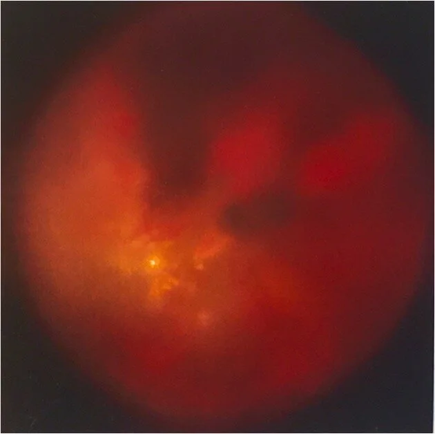 Emergence - Kathleen Caprario