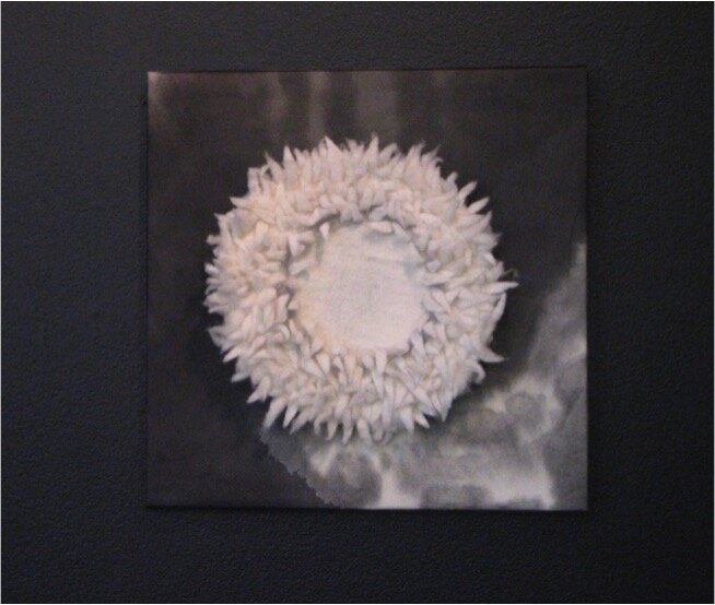 Fragile Circle #3” - Satoko Motouji 