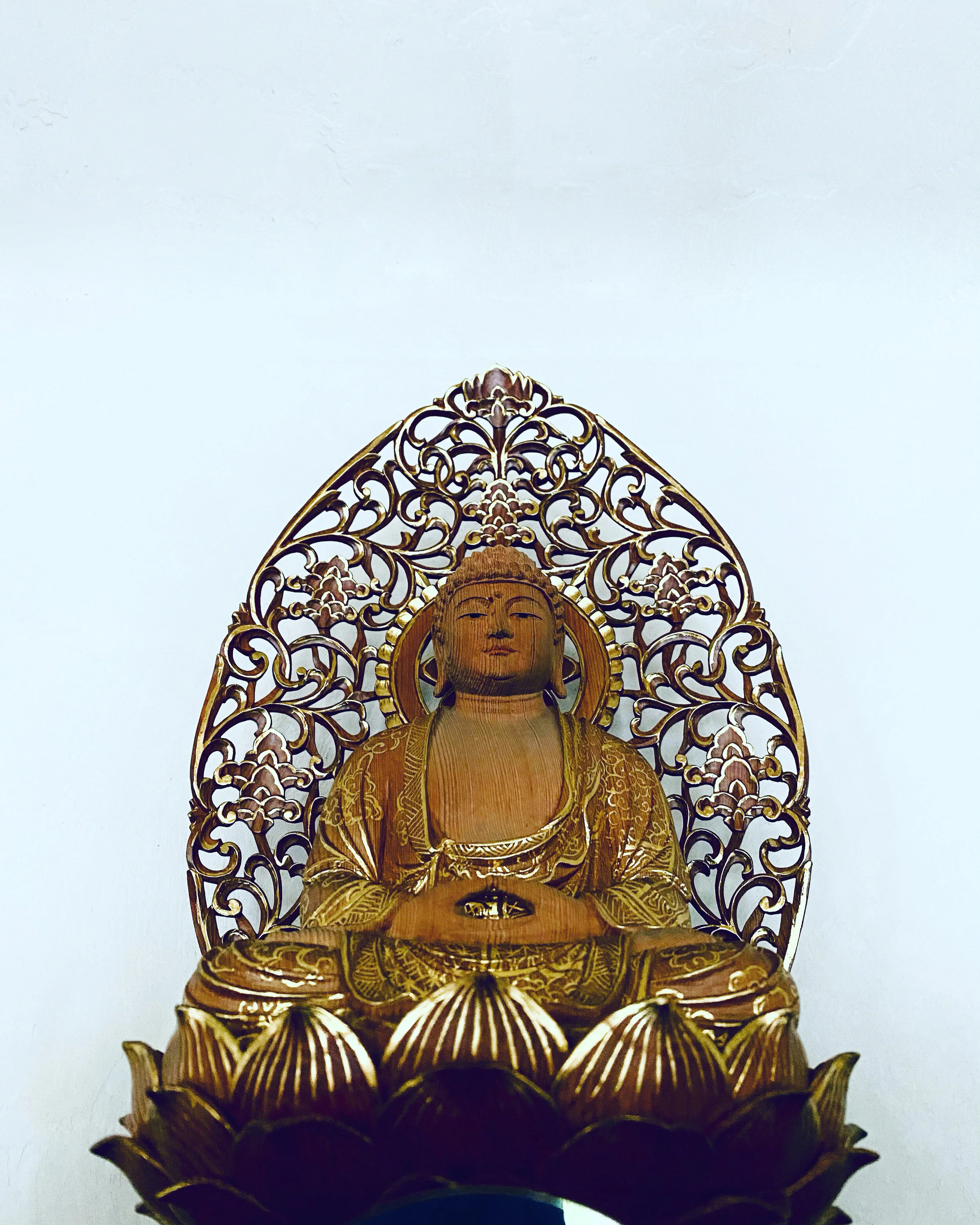 Rohatsu Sesshin 2020 — Buddha Eye Temple