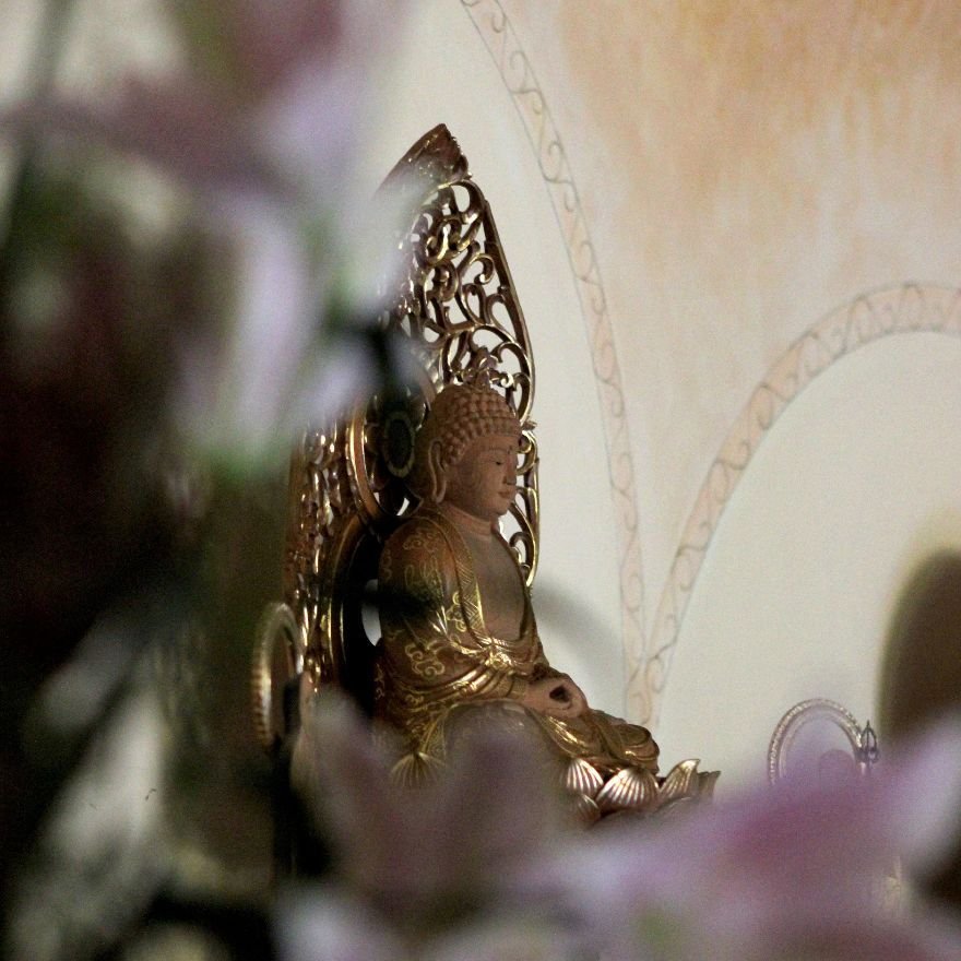 Weekly Bulletin for 11/7/25 - 11/14/25