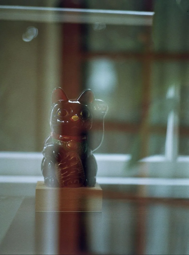 Weekly Bulletin for 1/23/26 - 1/30/26