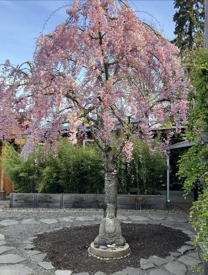 Weekly Bulletin for  4/3/26 - 4/10/26