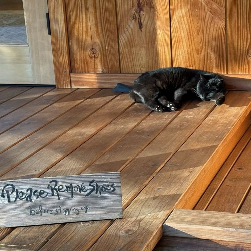 Weekly Bulletin for  4/10/26 - 4/17/26