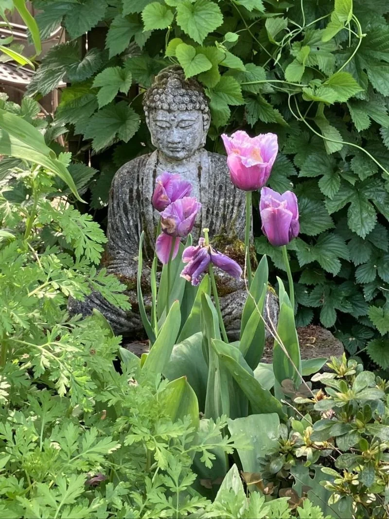 Weekly Bulletin for  4/24/26 - 5/3/26