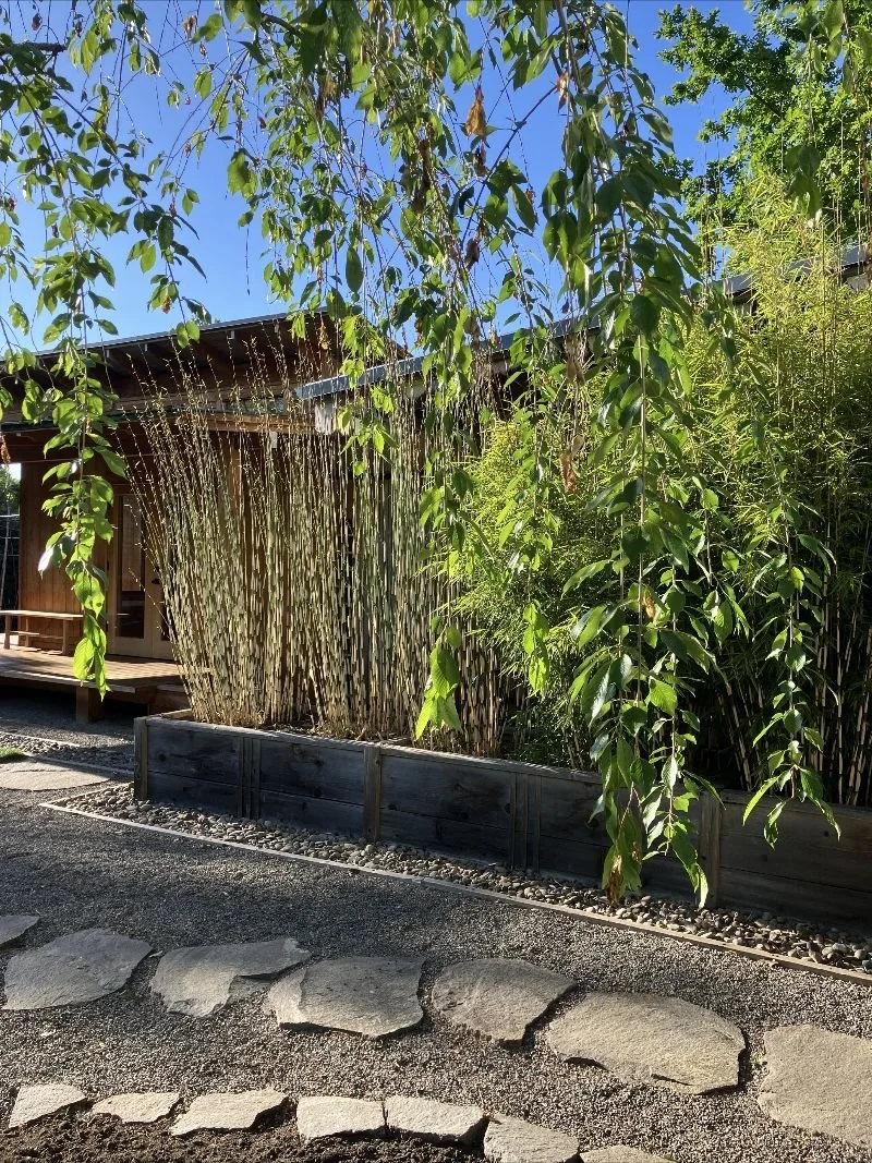 Weekly Bulletin for  5/22/26 - 5/29/26