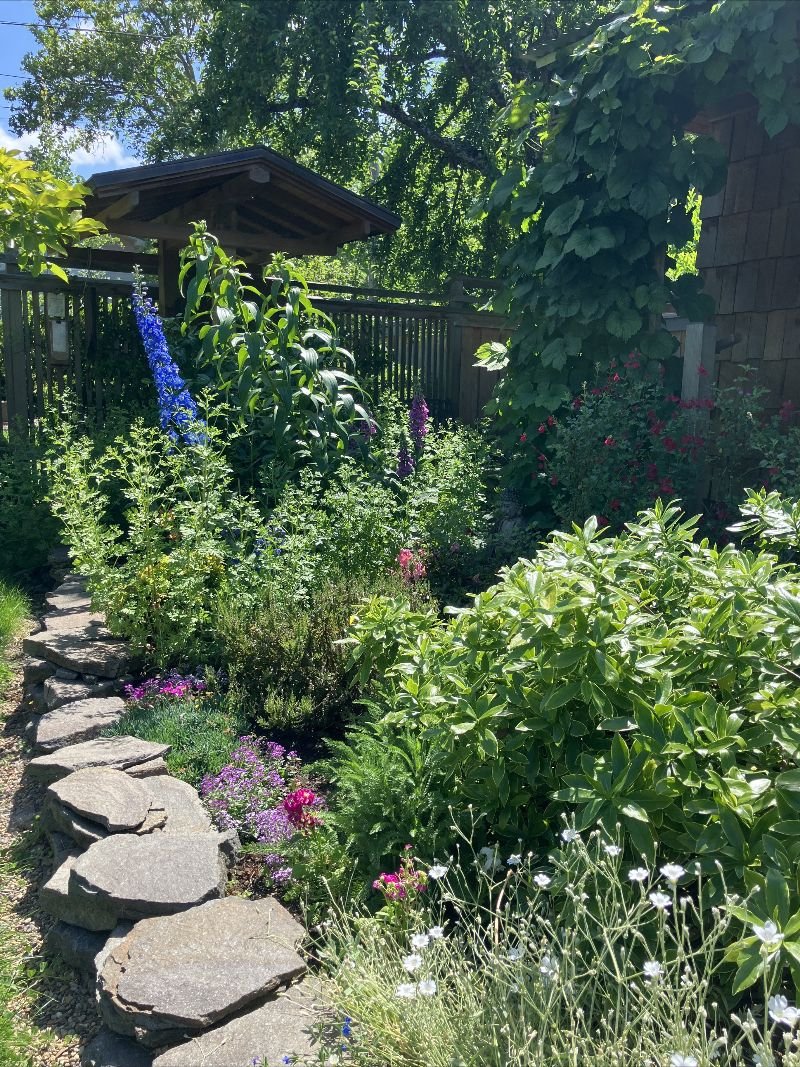 Buddha Eye Temple 2026 Summer Programming Guide