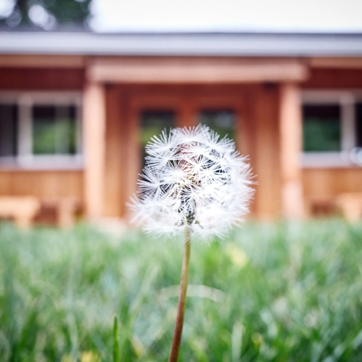 Weekly Bulletin for 6/12/26 - 6/19/26