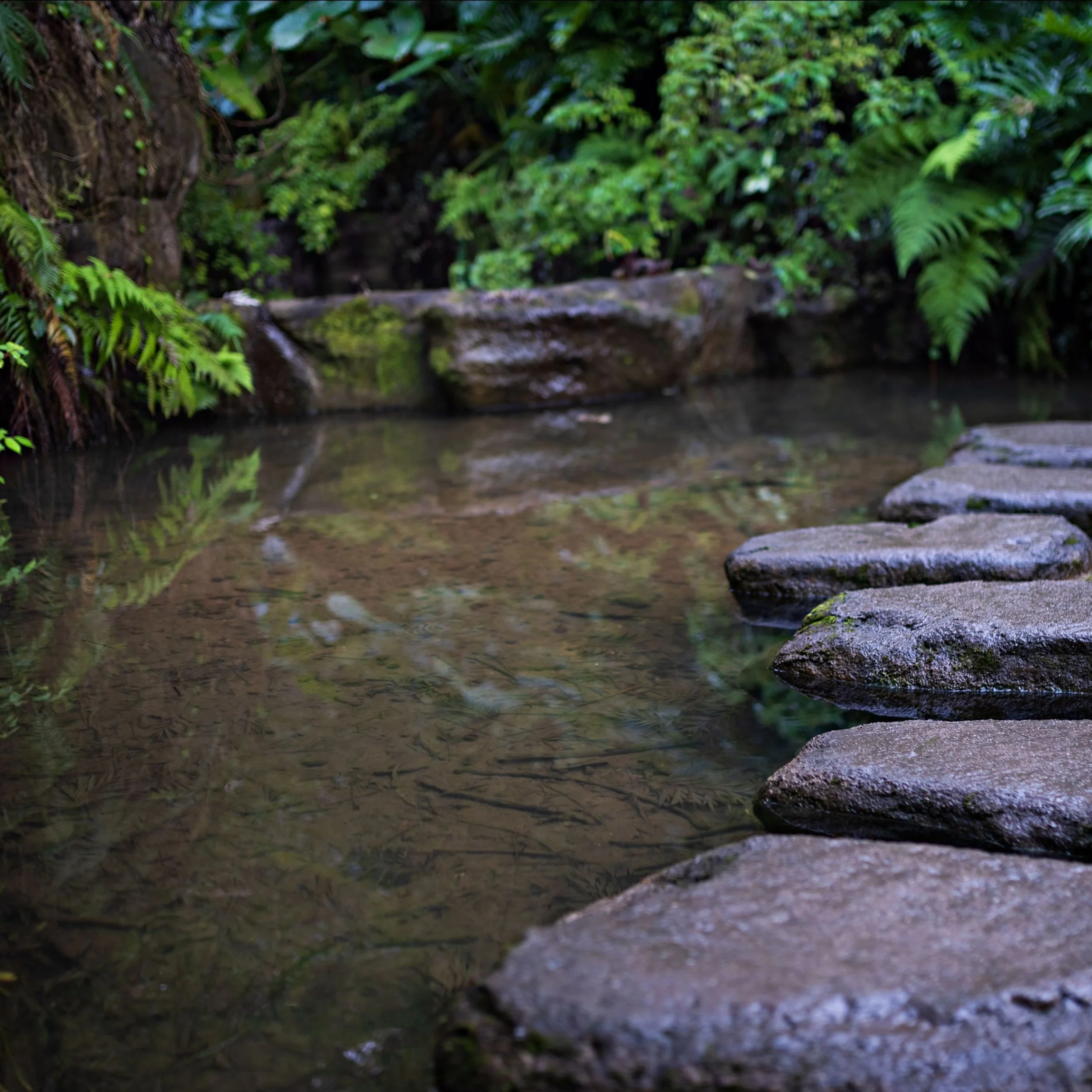 This Sunday: Everybody Should Be Quiet Near a Little Stream and Listen