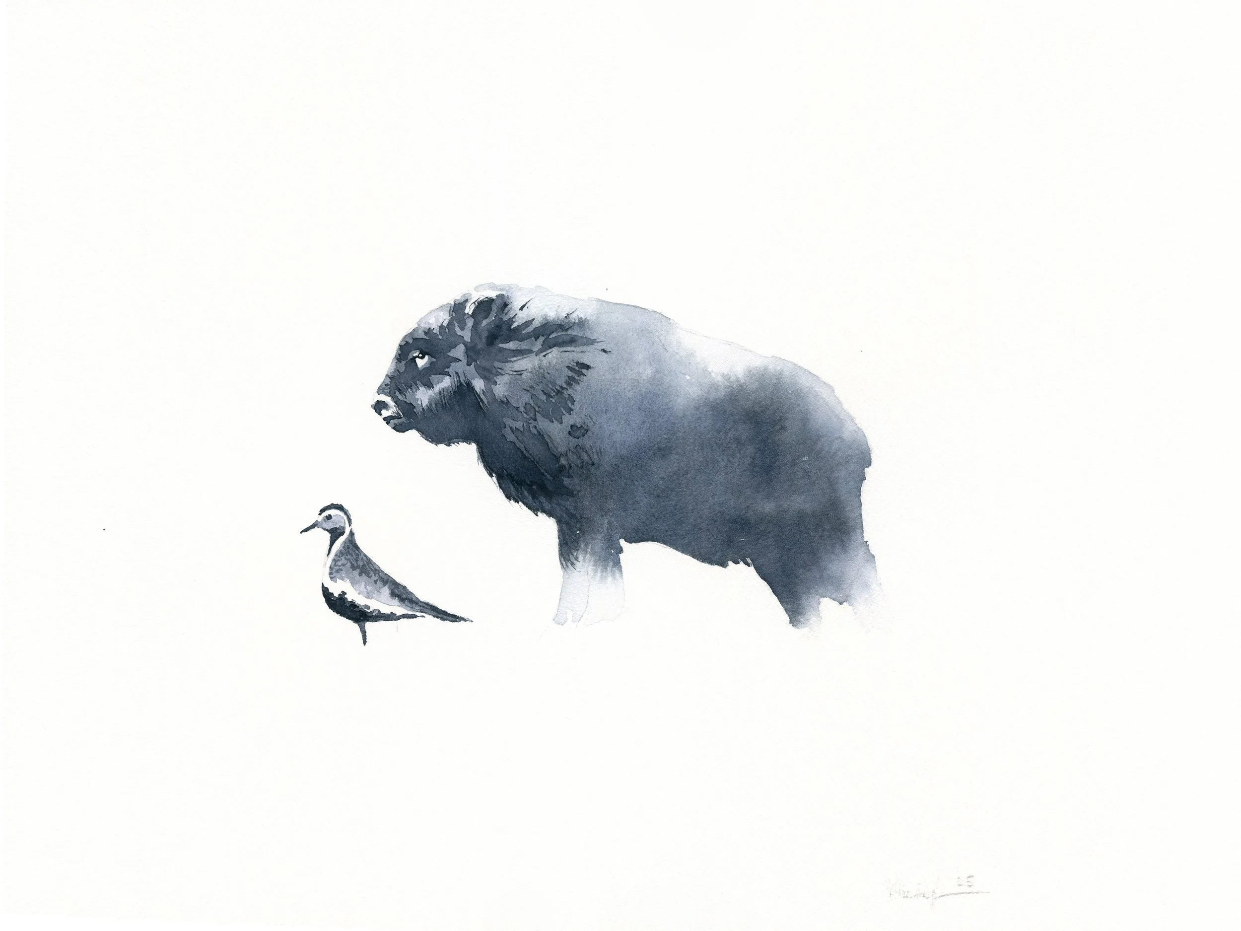 Moskus og heilo ferdig.jpg