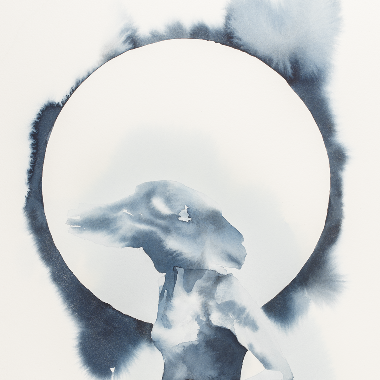 A24_6394+crop+20x20+m+hvit+kant.png