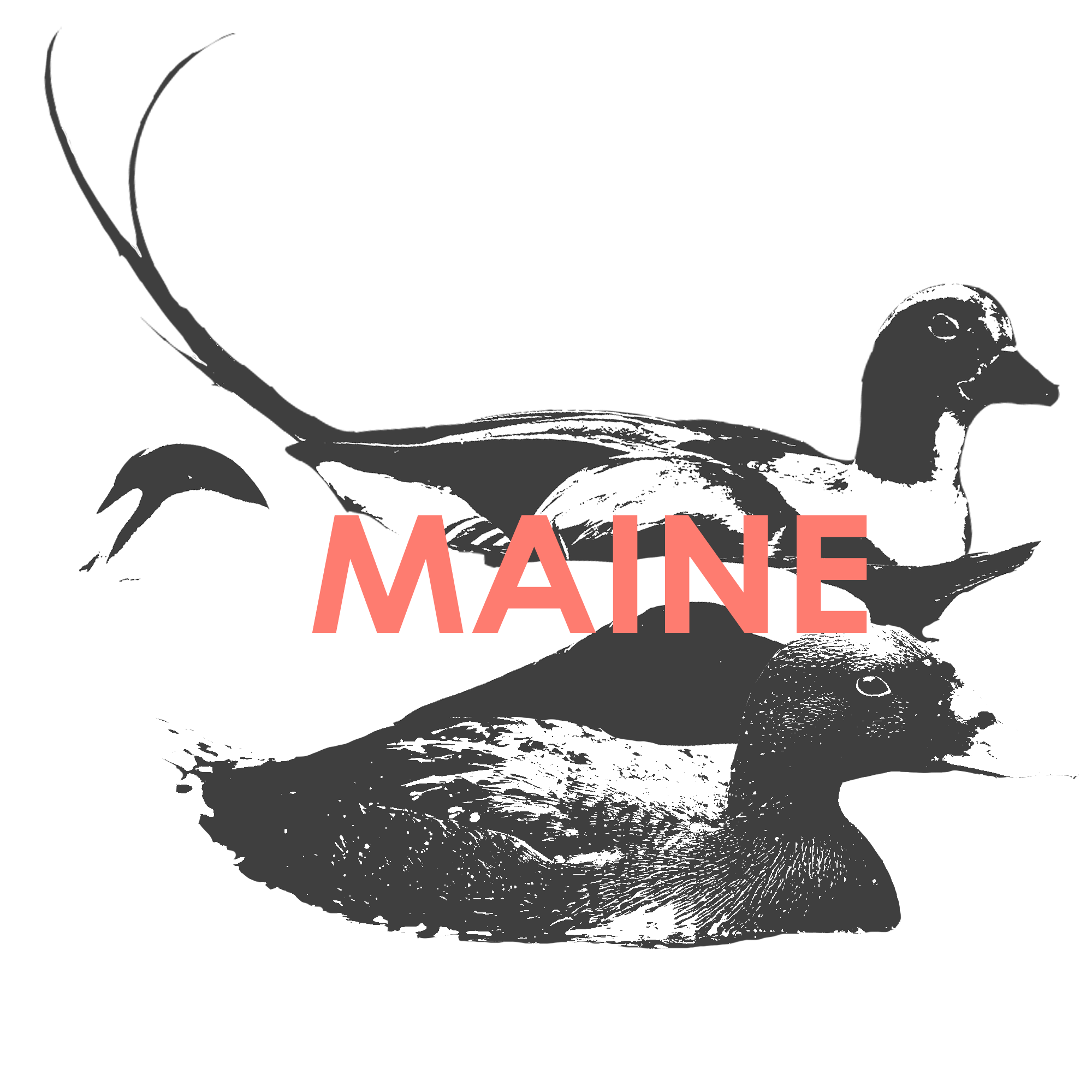 MAINE.png