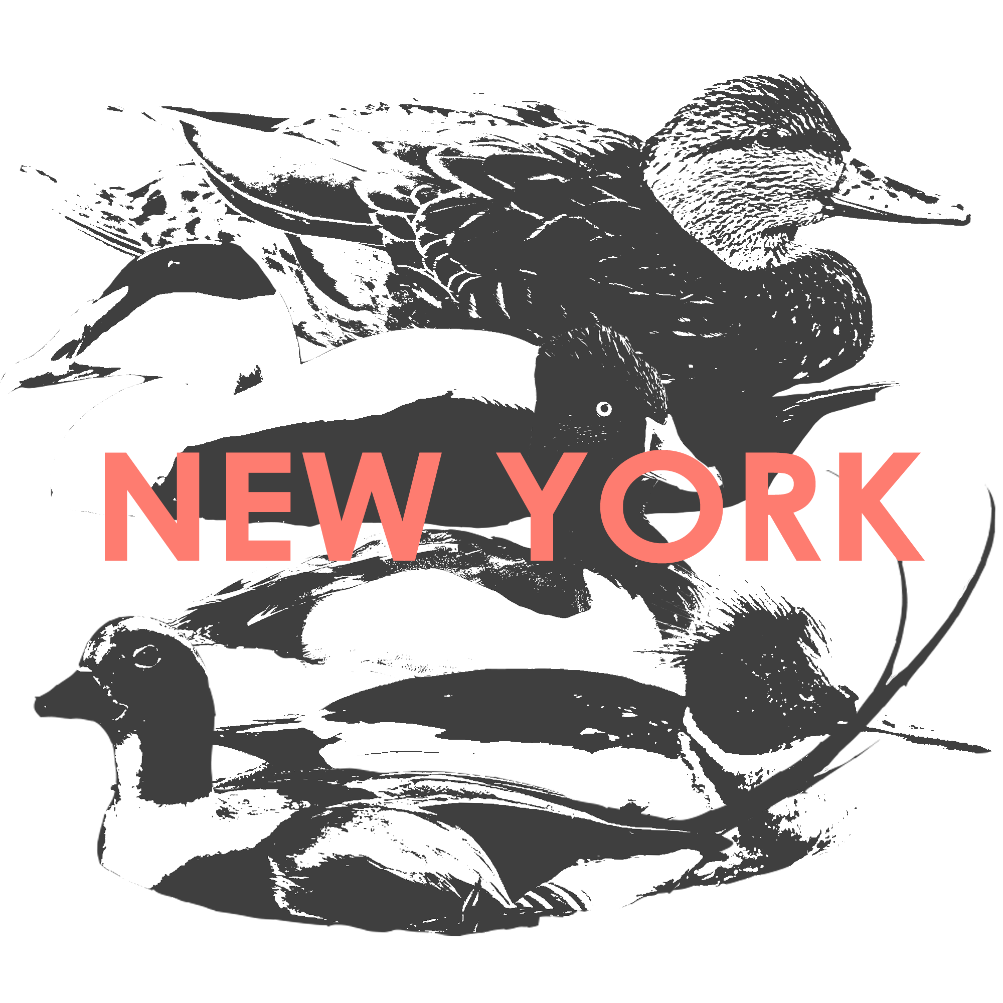 NEW-YORK.png
