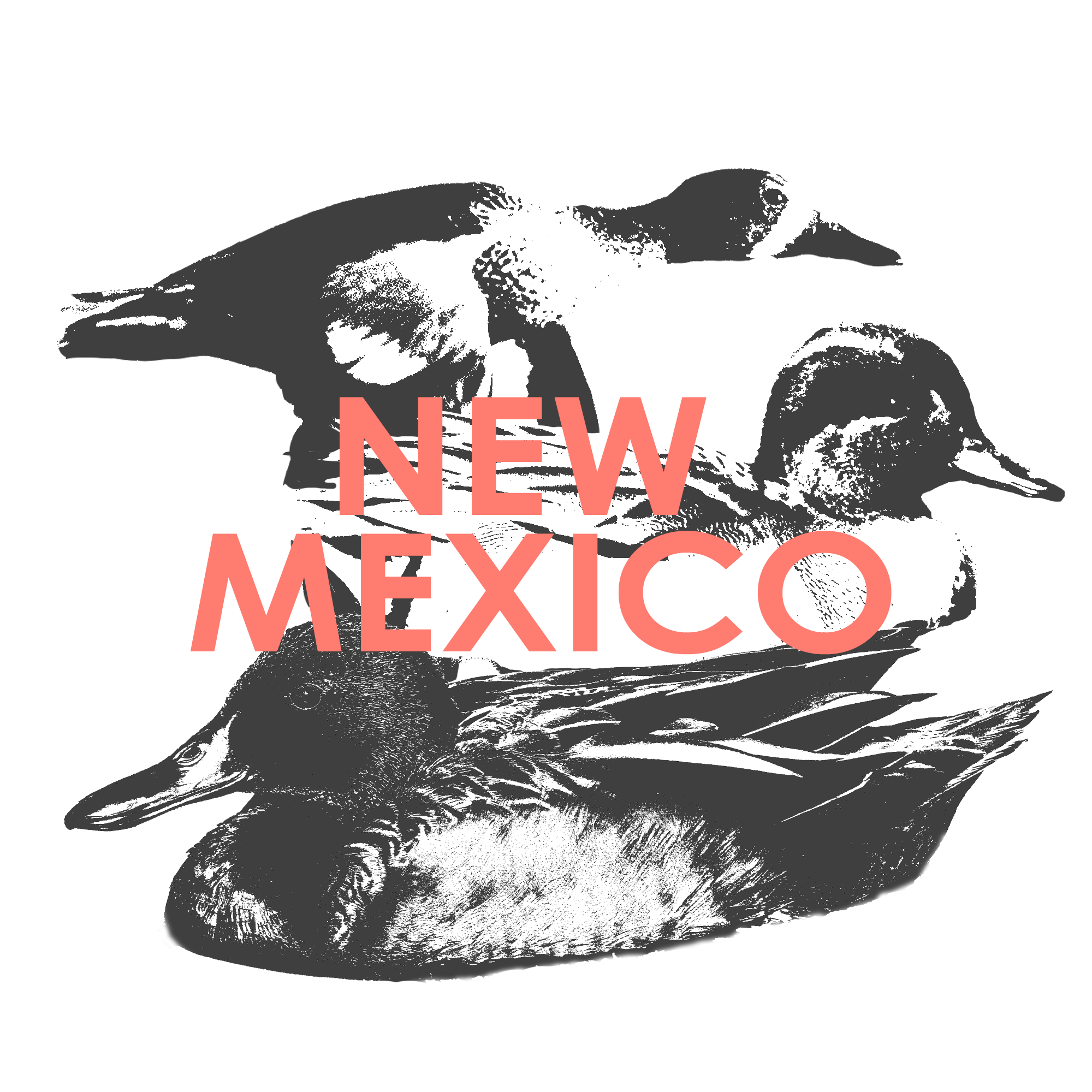 NEW-MEXICO.png