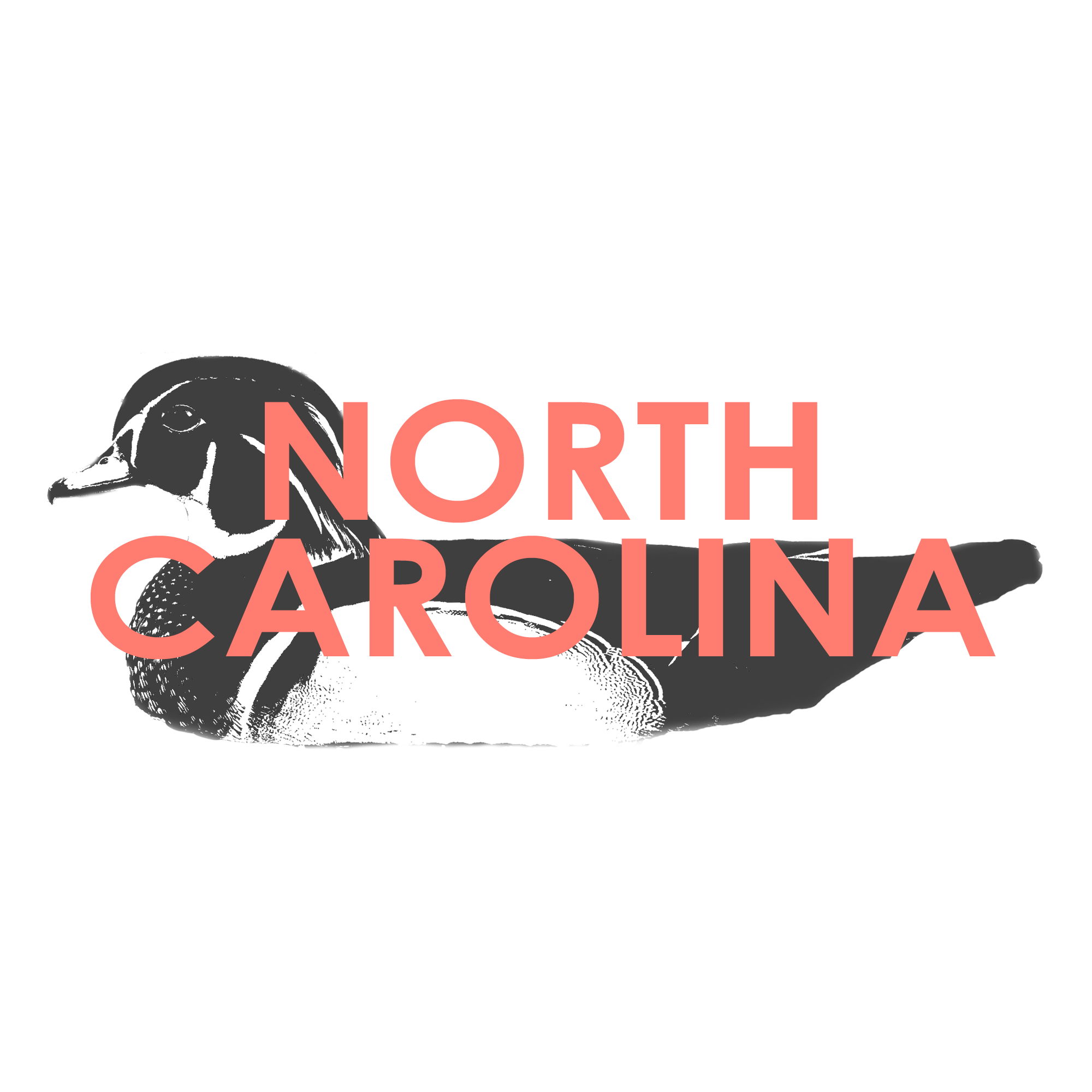 NORTH-CAROLINA.png