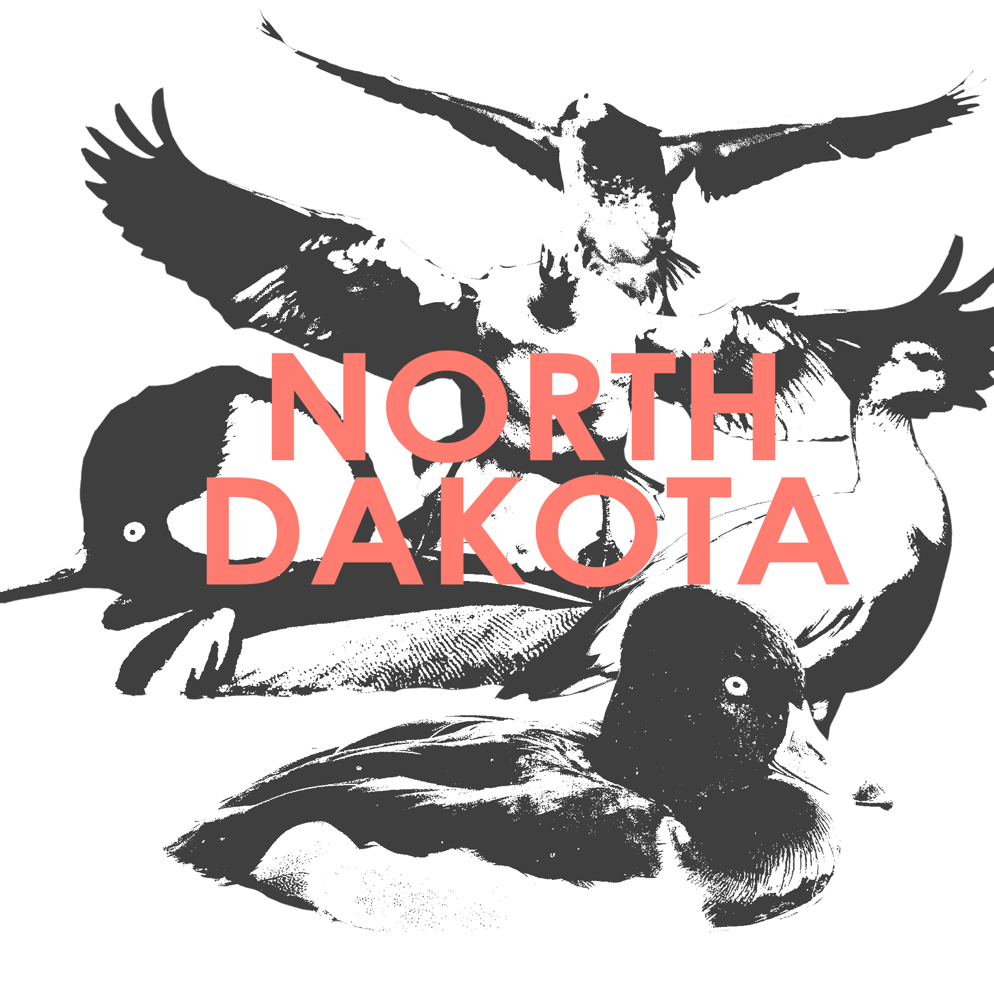 North-Dakota.png