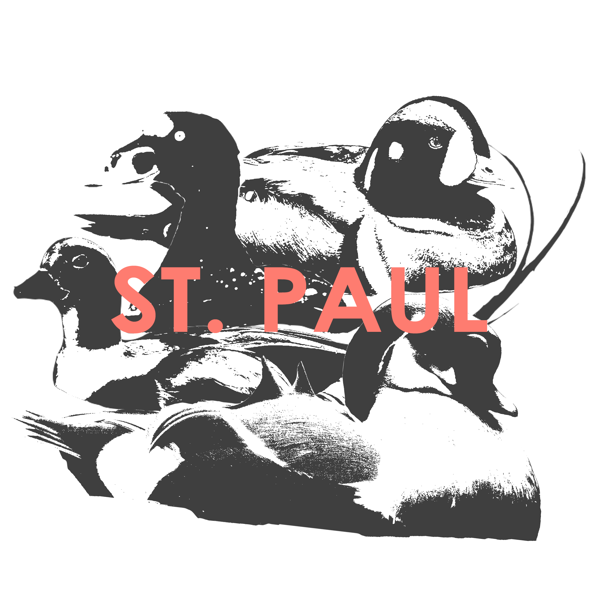 ST-PAUL.png