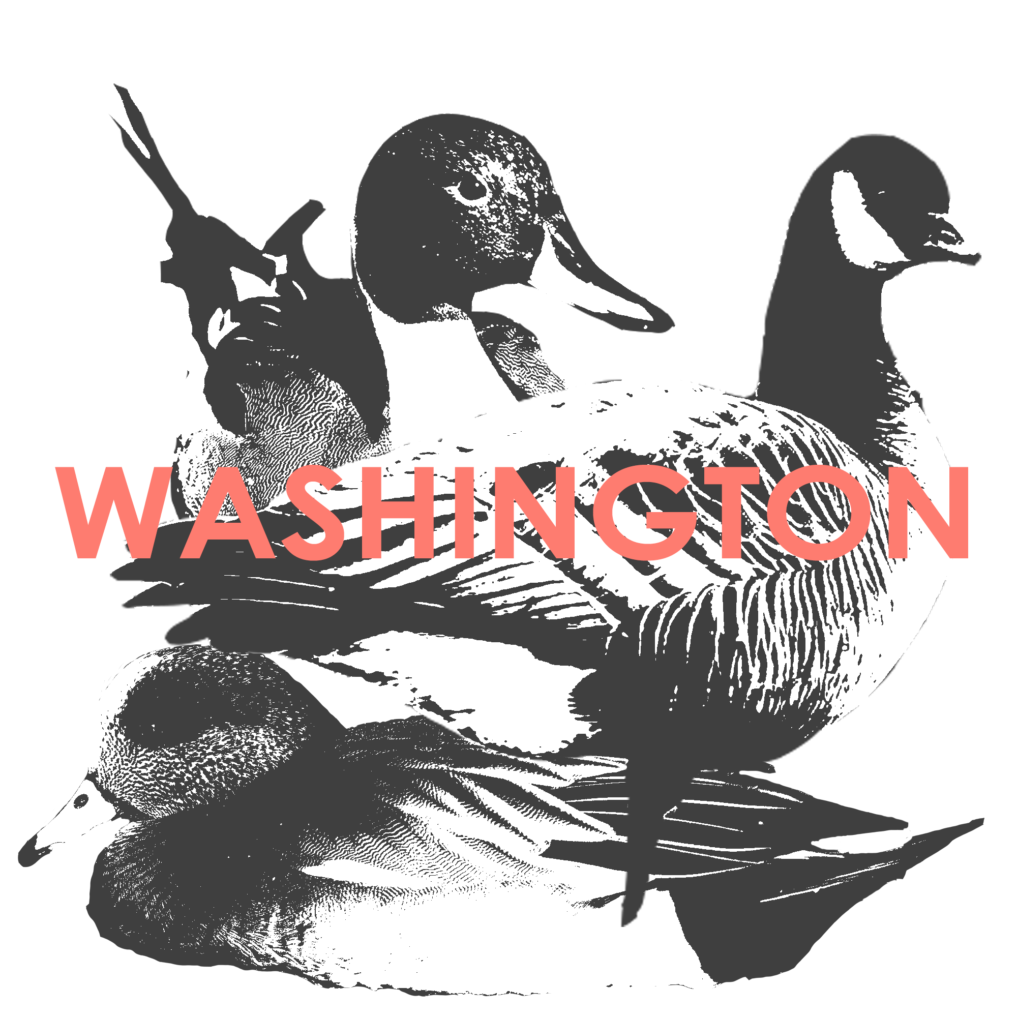 WASHINGTON.png